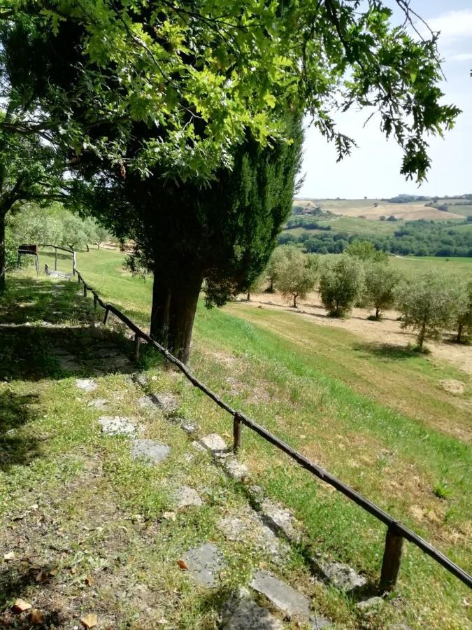 Agriturismo Podere Cherzo Cinigiano Zewnętrze zdjęcie