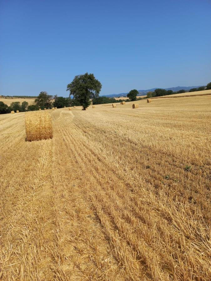 Agriturismo Podere Cherzo Cinigiano Zewnętrze zdjęcie