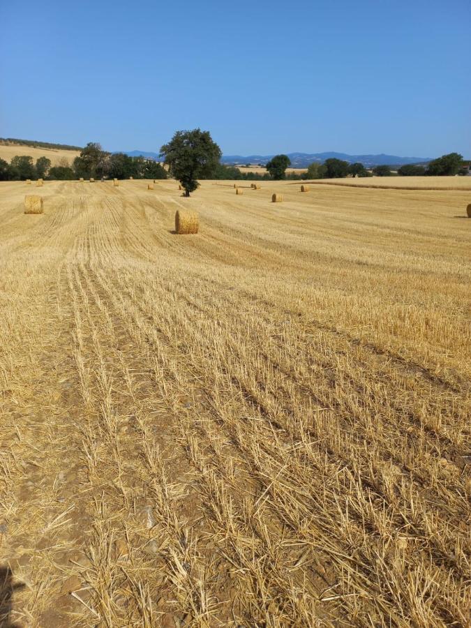 Agriturismo Podere Cherzo Cinigiano Zewnętrze zdjęcie