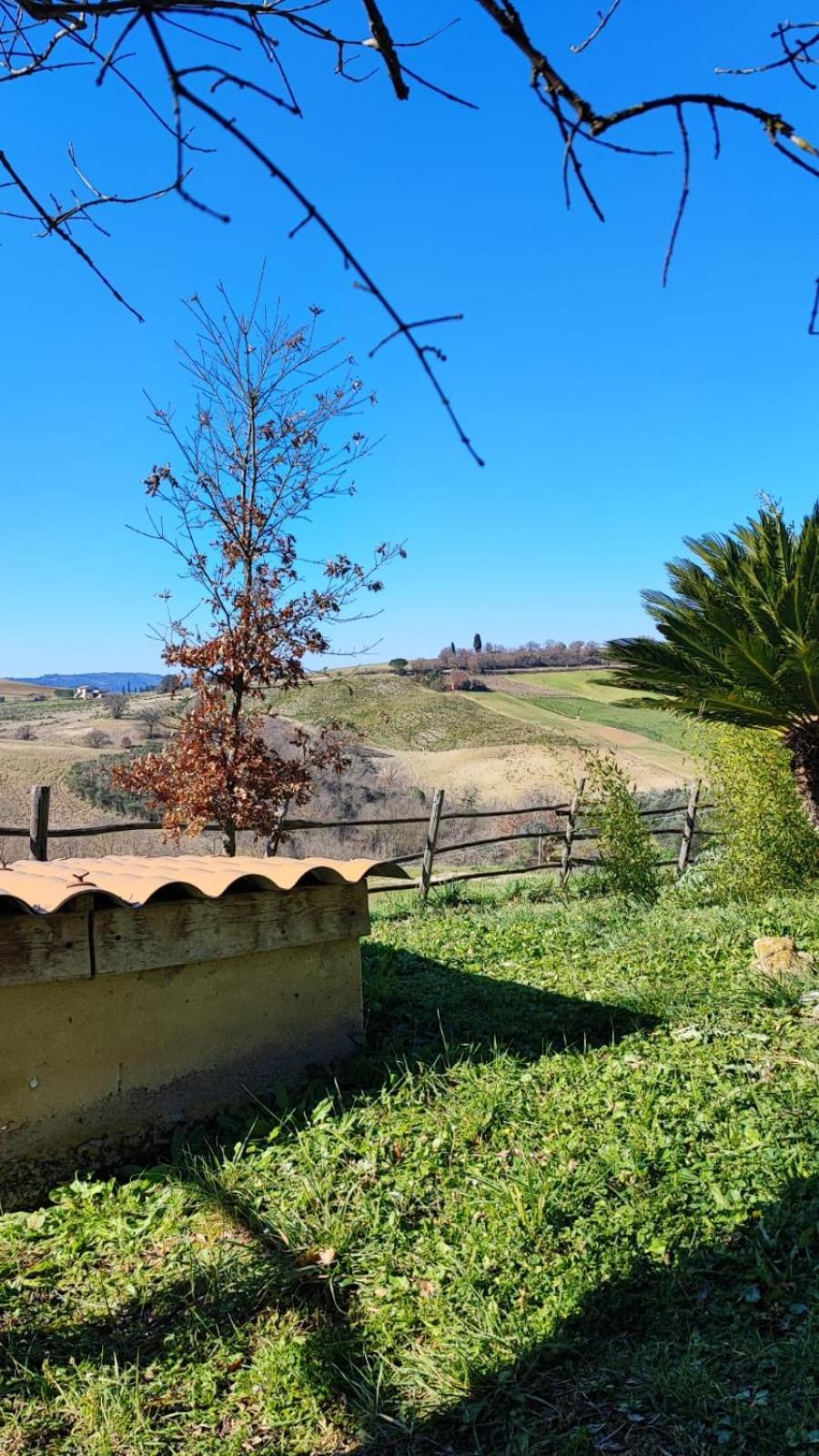 Agriturismo Podere Cherzo Cinigiano Zewnętrze zdjęcie